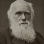 darwin e l'evoluzionismo