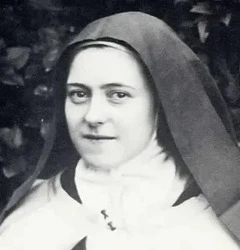 Santa Teresa di Lisieux nel suo Diario "Storia di un’anima" ci insegna la cosiddetta “piccola via” per raggiungere la salvezza e la santità