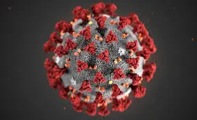 Coronavirus, possibile inizio della fine di un mondo